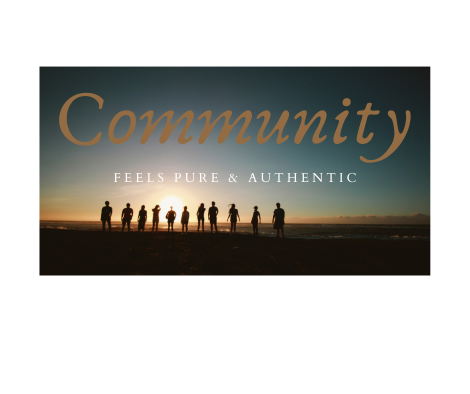 Community Standards Logo